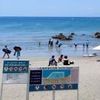 なぜ日本人は「海水浴」へ行かなくなったのか? ピーク時9割減の根本理由とは? 崩れ始めた“遠出レジャー”の前提